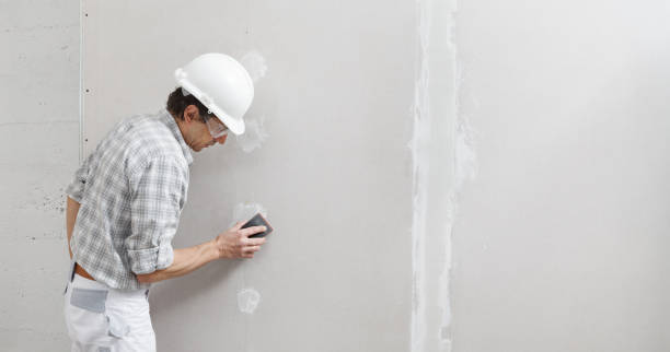 Best Asbestos and Lead Testing During Mold Inspection  in Inglenook, CT