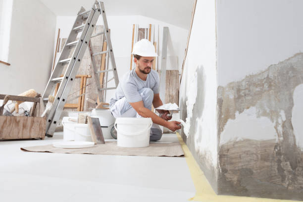 Best Forensic Mold Investigation  in Inglenook, CT