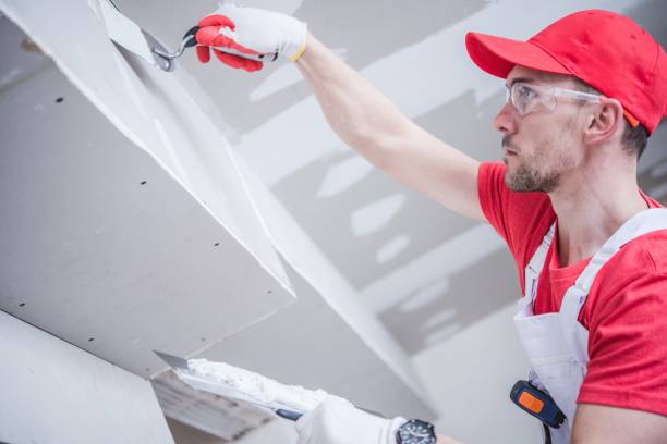 Best Mold Documentation for Insurance Claims  in Inglenook, CT